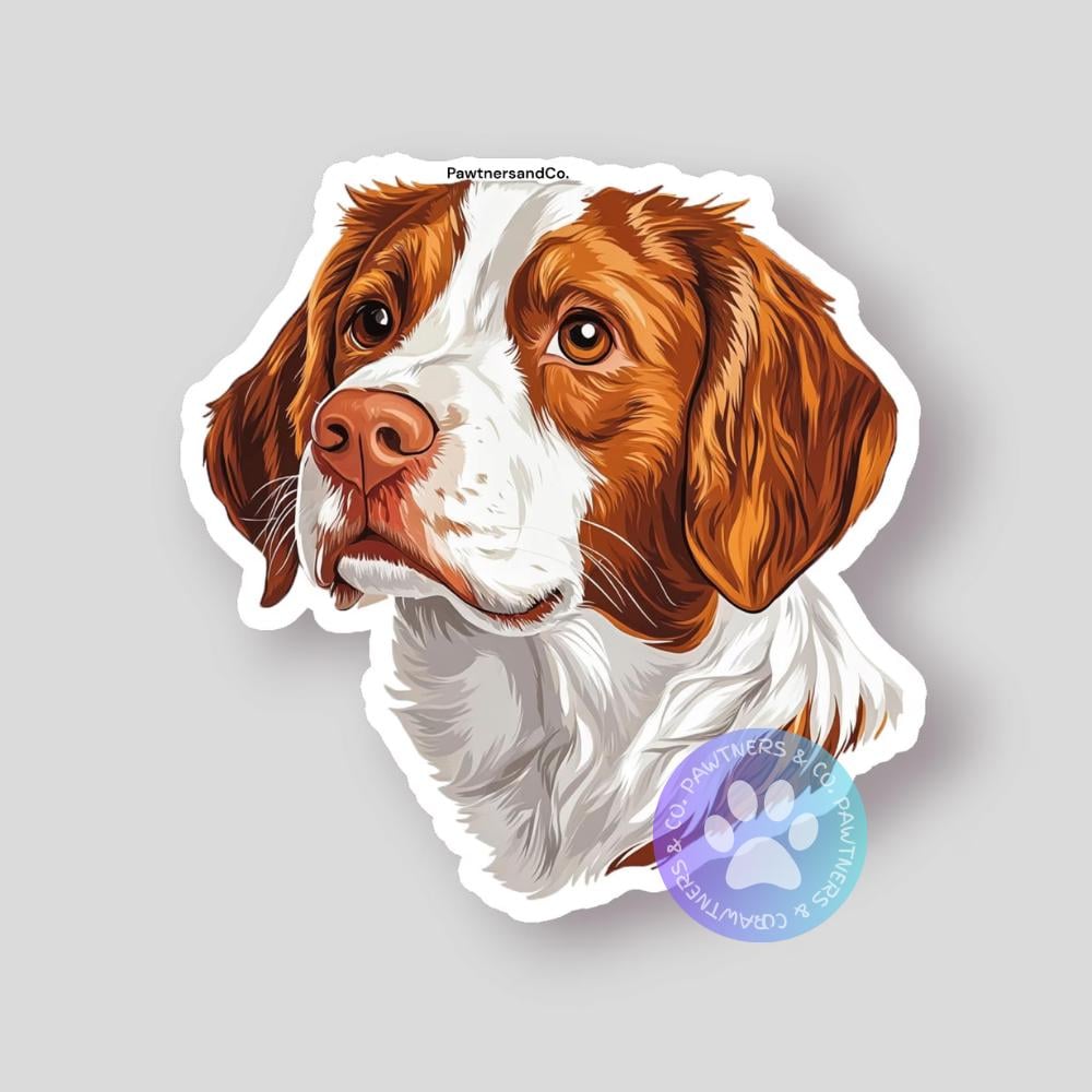 Brittany Spaniel Sticker