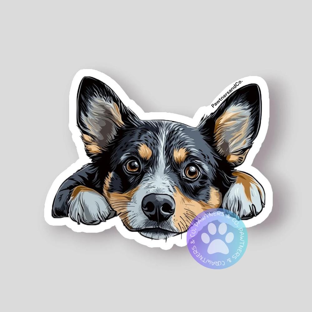 Australian Cattle Sticker