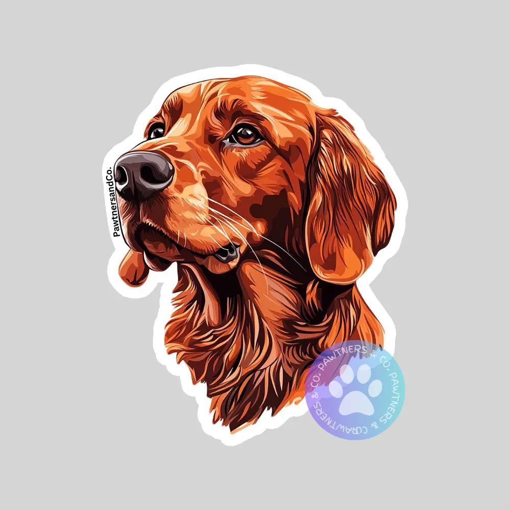 Irish Setter Sticker