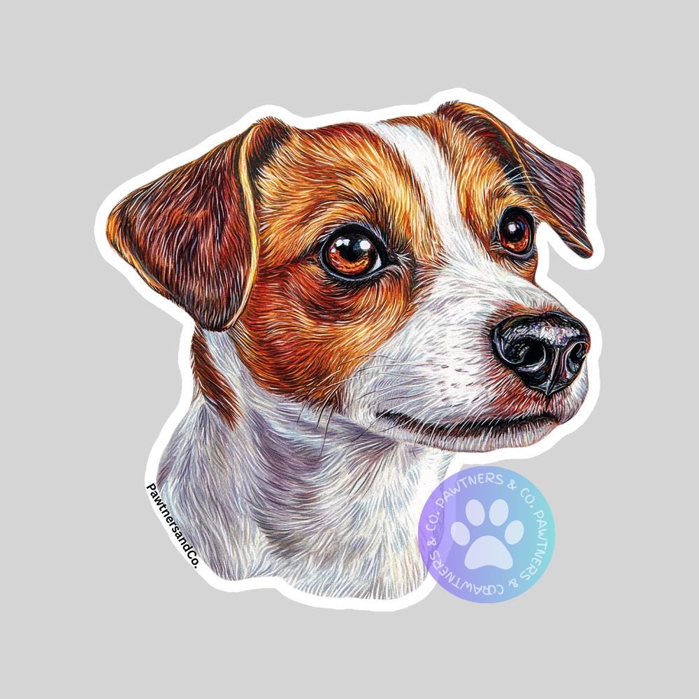 Jack Russell Terrier Sticker