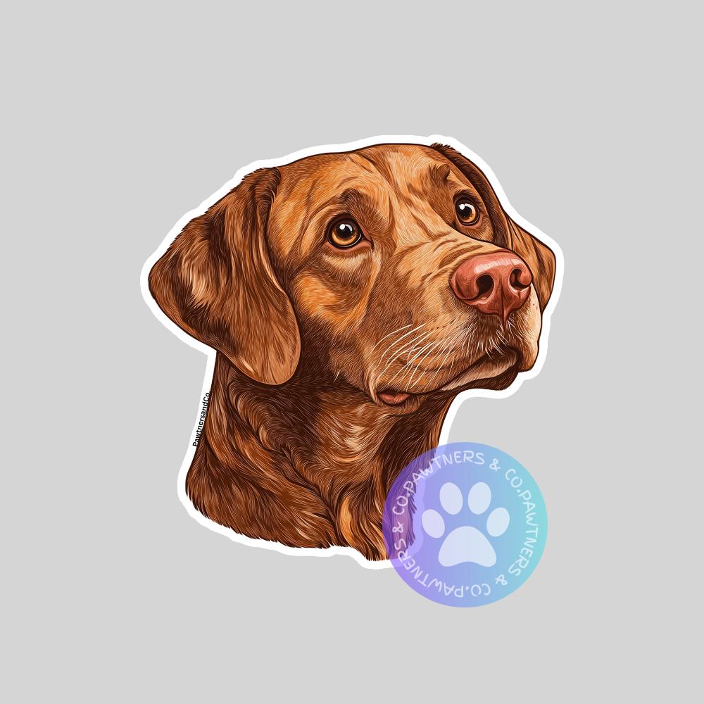 Chesapeake Bay Sticker