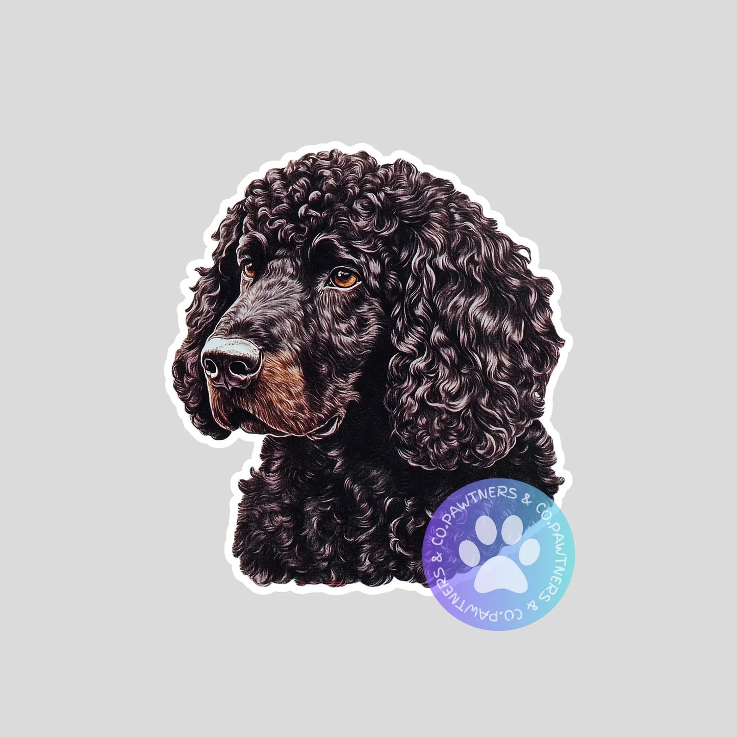 Irish Water Spaniel Sticker
