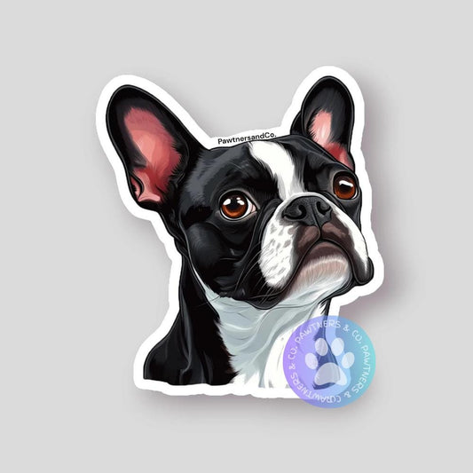 Boston Terrier Sticker
