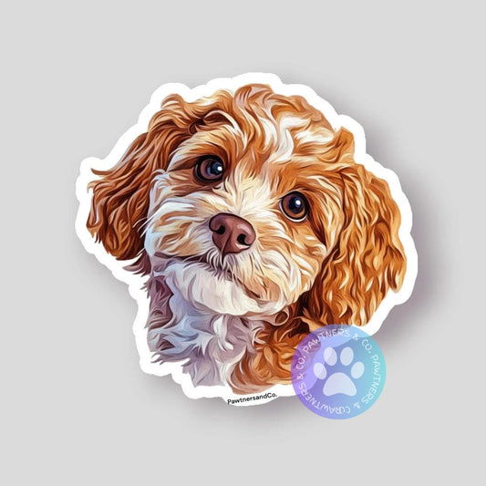 Aussie Cavapoo Sticker