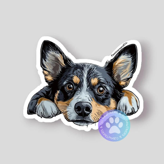 Australian Cattle Sticker