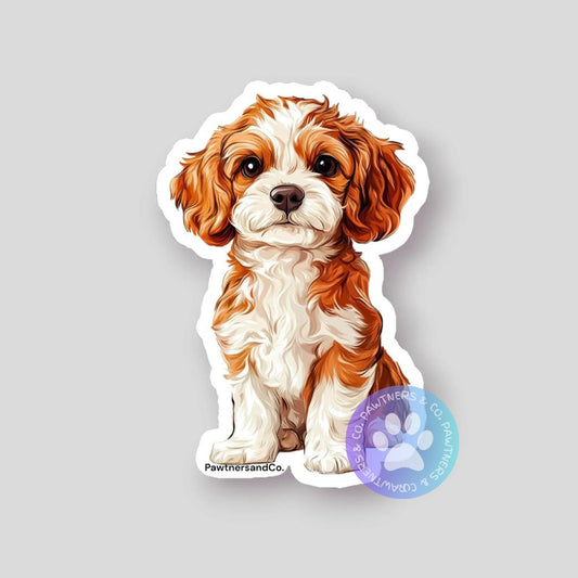 Aussie Cavapoo Sticker