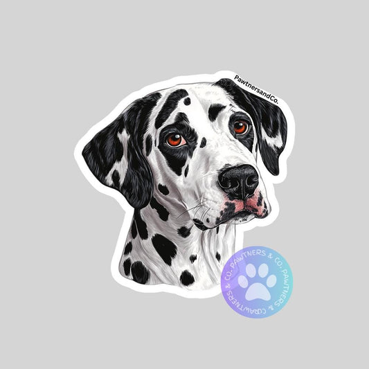Dalmatian Sticker