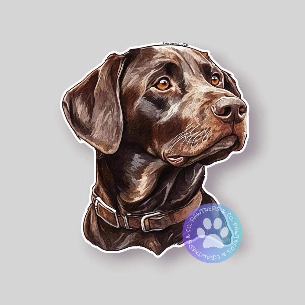 Chesapeake Bay Sticker