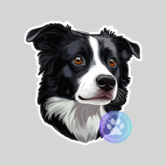 Border Collie Sticker