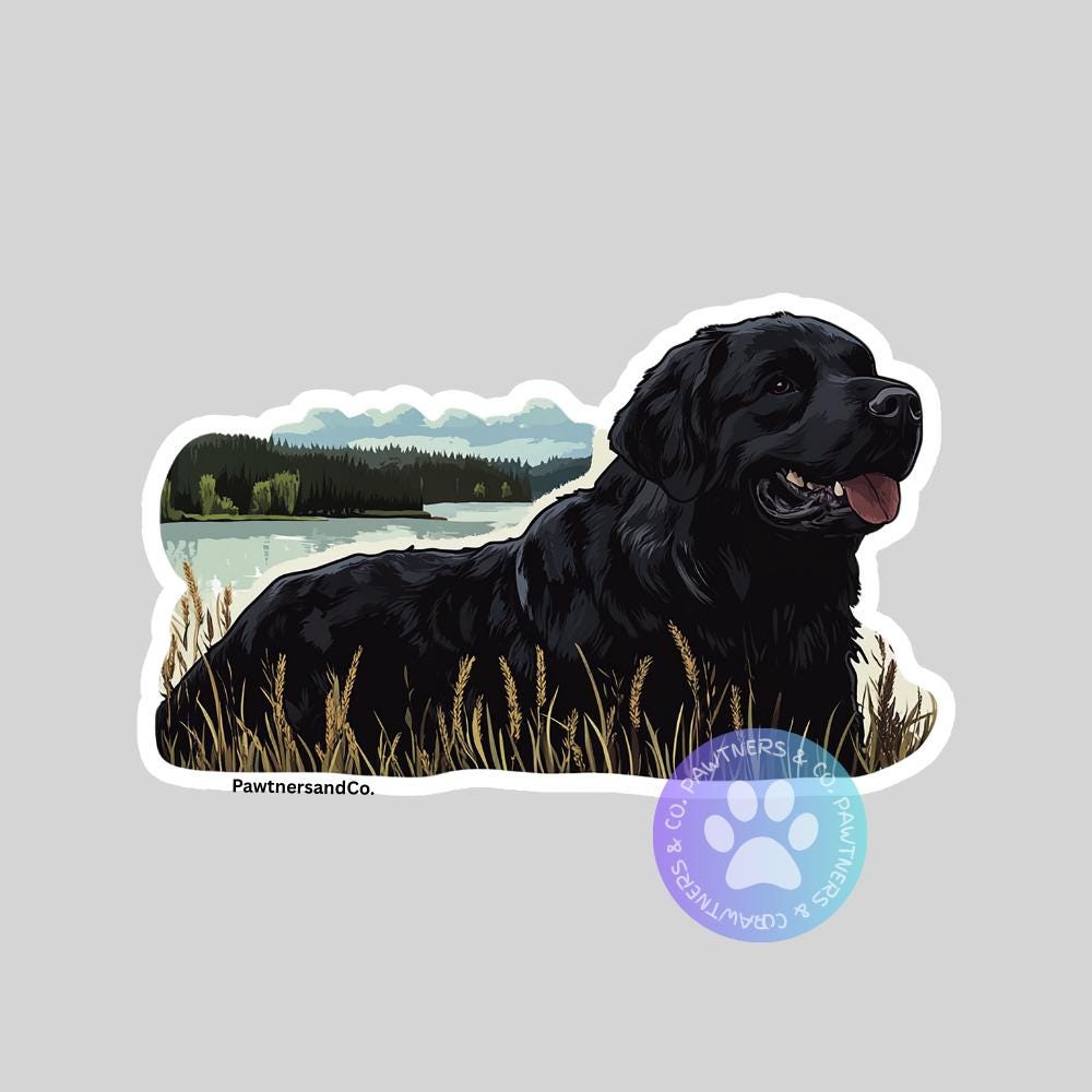 Newfoundland Sticker