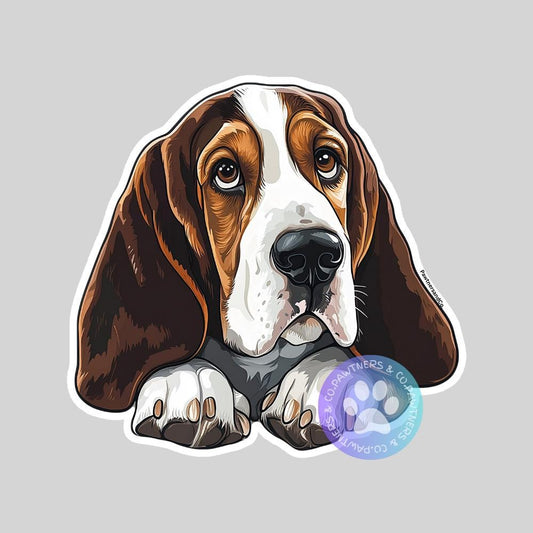 Basset Hound Sticker