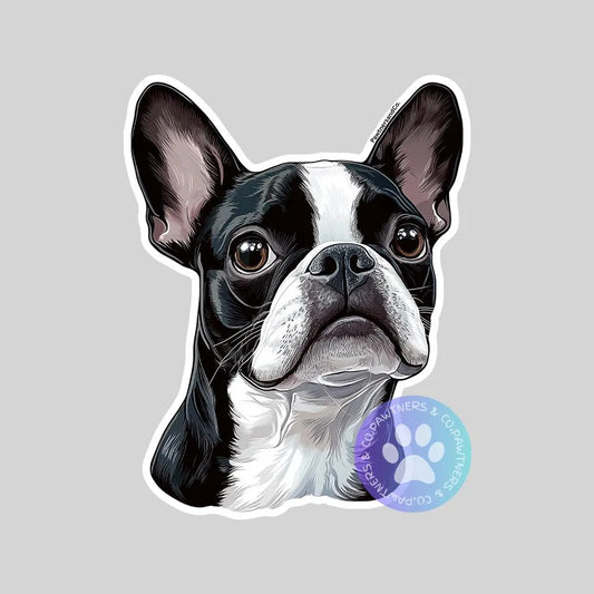 Boston Terrier Sticker