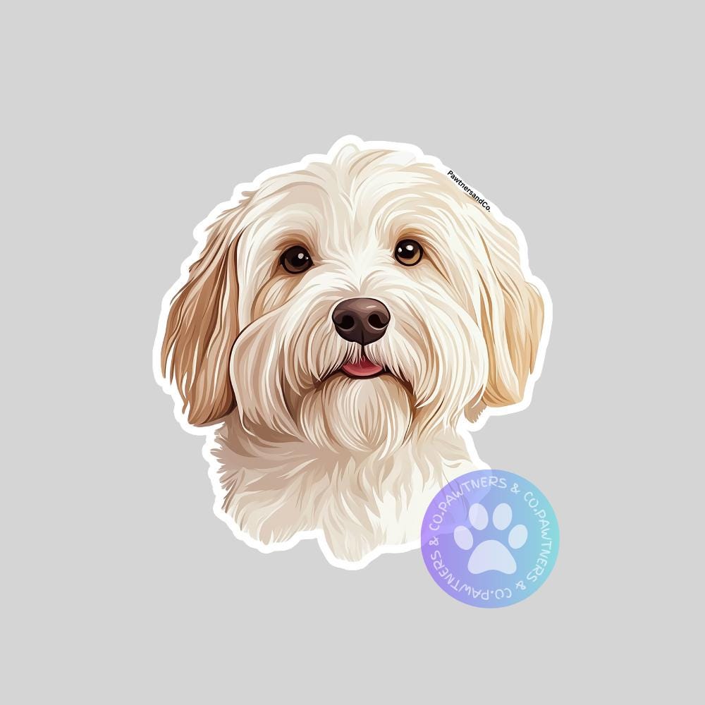 Coton De Tulear Sticker
