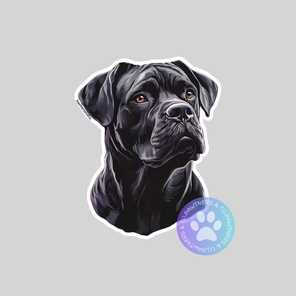 Cane Corso Sticker
