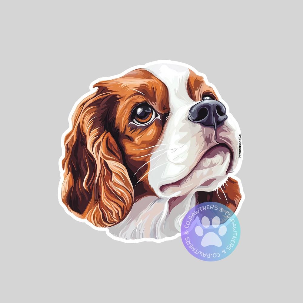 Cavalier King Charles Spaniel Sticker