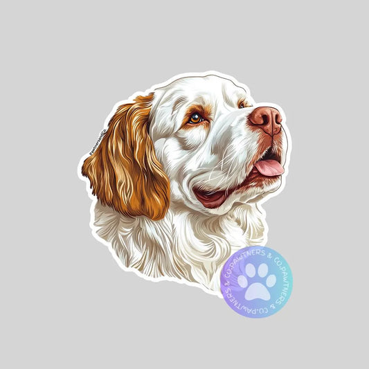 Clumber Spaniel Sticker