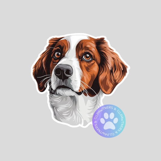 Nederlandse Kooikerhondje Sticker