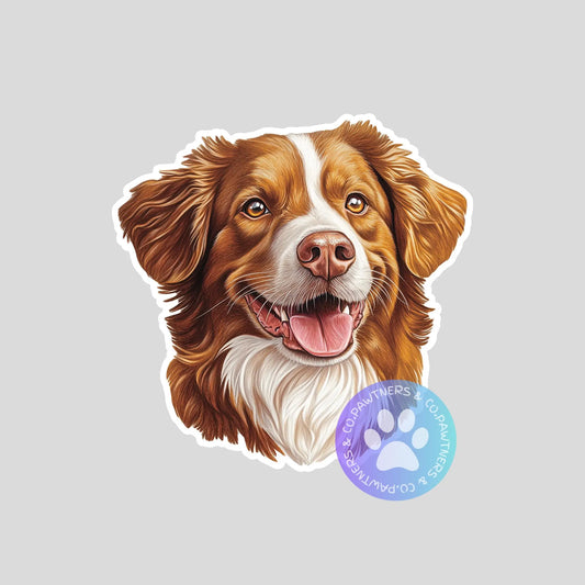 Nova Scotia Duck Tolling Retriever Sticker