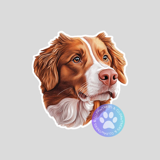 Nova Scotia Duck Tolling Retriever Sticker