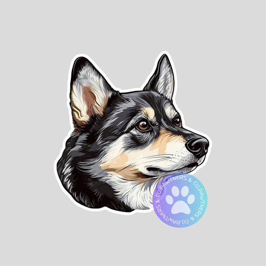 Swedish Vallhund Sticker
