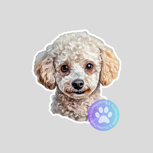 Toy Poodle Sticker