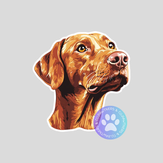 Vizsla Sticker