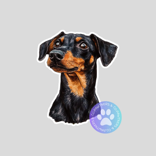 Manchester Terrier Sticker