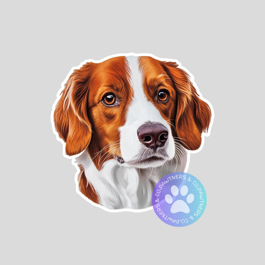 Nederlandse Kooikerhondje Sticker