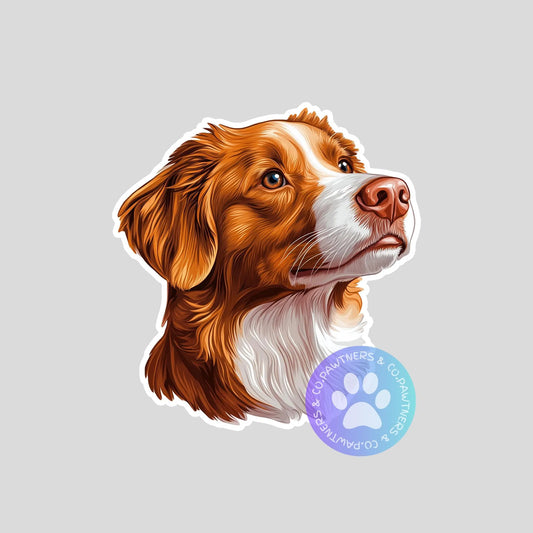 Nova Scotia Duck Tolling Retriever Sticker