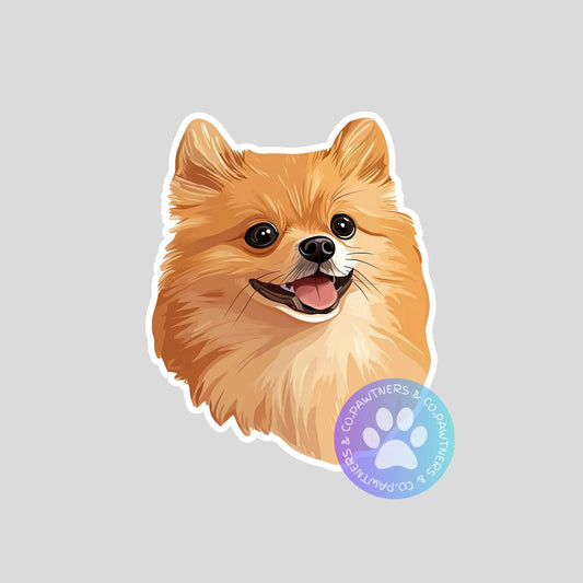 Pomeranian Sticker