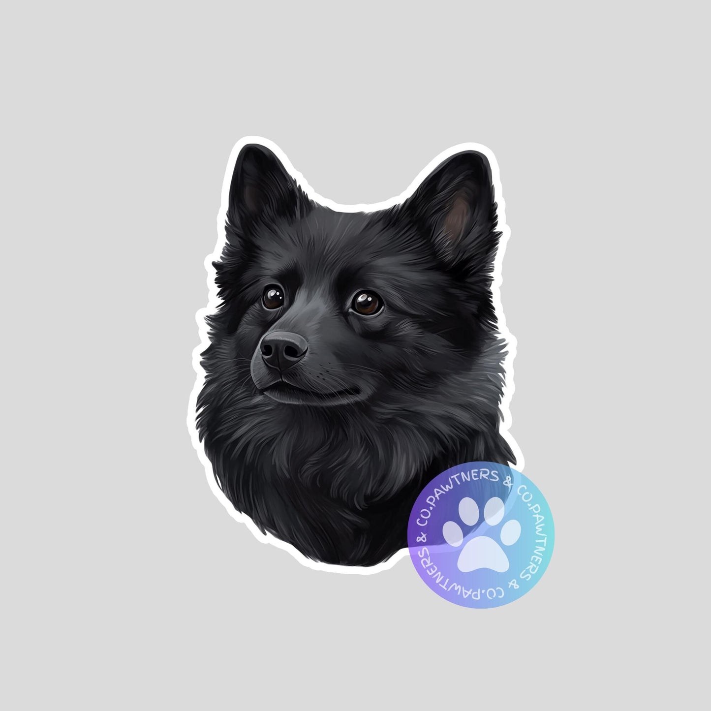 Schipperke Sticker