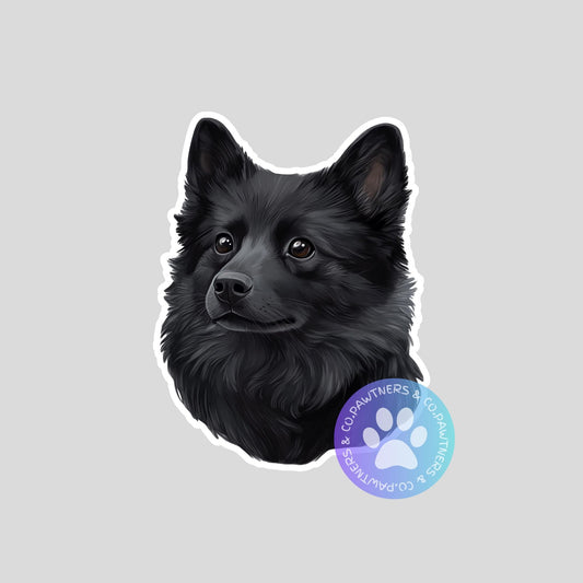 Schipperke Sticker