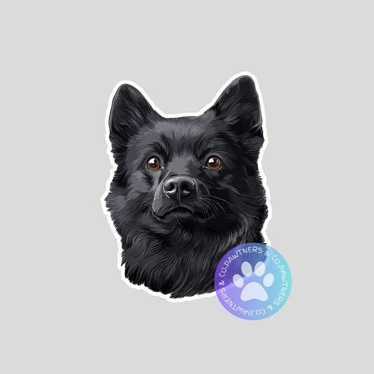 Schipperke Sticker
