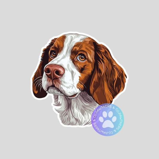 Welsh Springer Spaniel Sticker