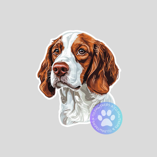Welsh Springer Spaniel Sticker
